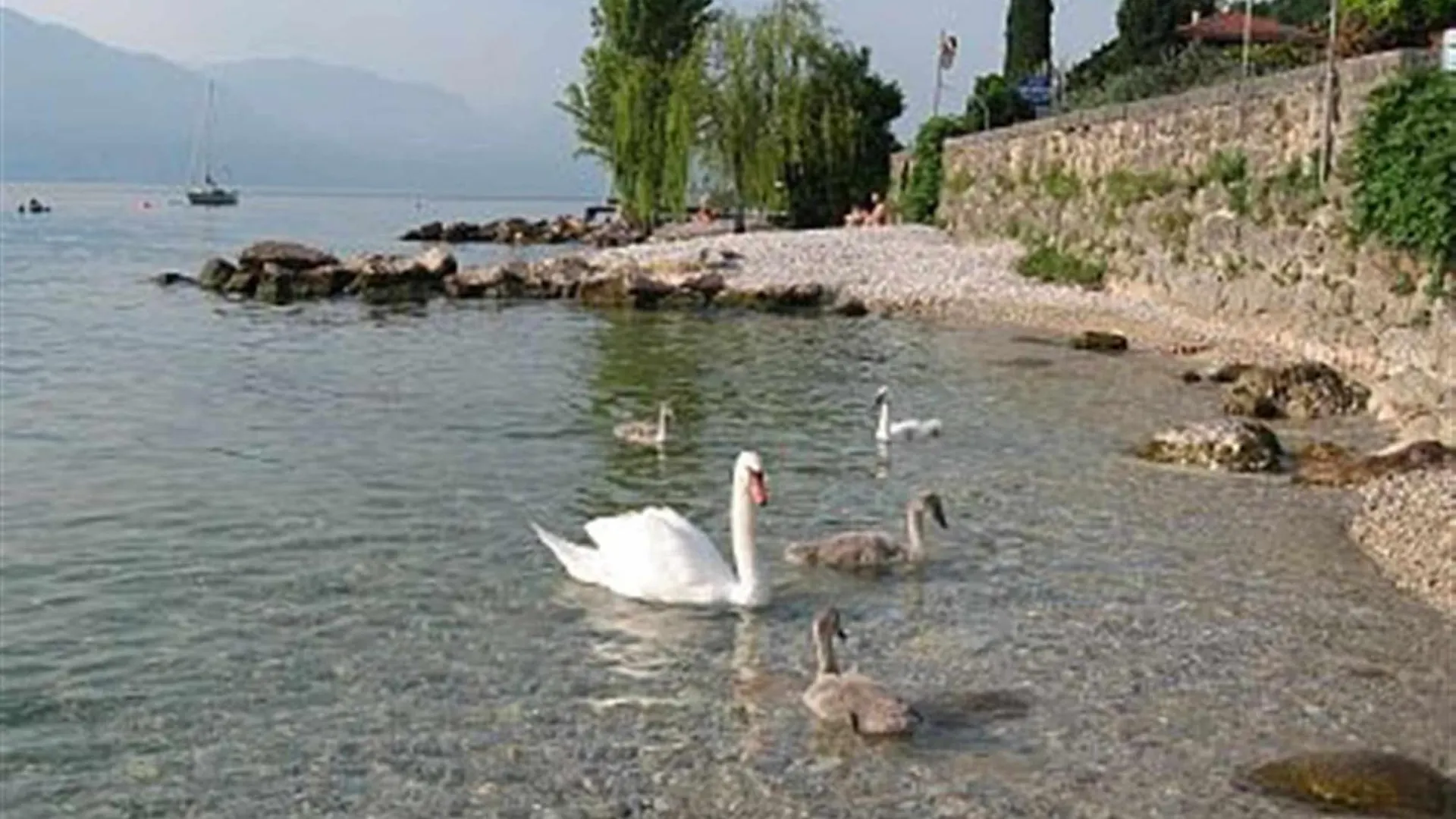 شقة Residence San Zeno - Vicino Centro,Lago Parcheggio باردولينو
